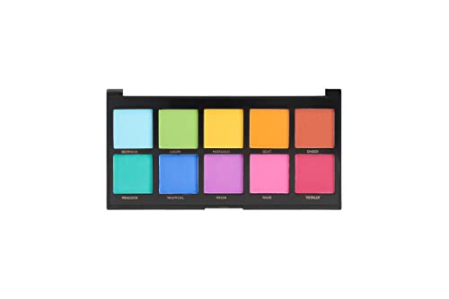 Profusion Cosmetics Spectrum Mixed 10 Shade Eyeshadow Palette (richly saturated blendable matte shades)