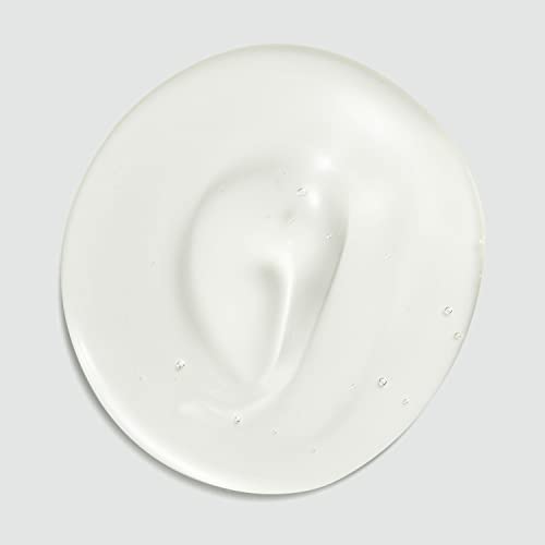 Sebastian Professional Dark Oil Lightweight Shampoo | Smoothen & Nourish | Add Natural Body | For Al