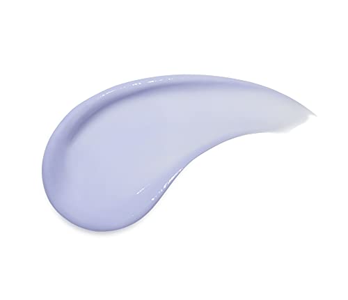 PROVOKE Touch of Silver Colour Care Conditioner 200 ml, Keep Coloured Hair Deeply Moisturised Silky and Smooth, Helps Eliminate Brassy and Yellow