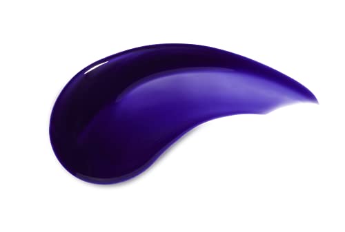 PROVOKE Touch Of Silver Brightening Purple Shampoo 200 ml, Neutralises Yellow and Orange tones, Formulated with Violet and Blue Pigments