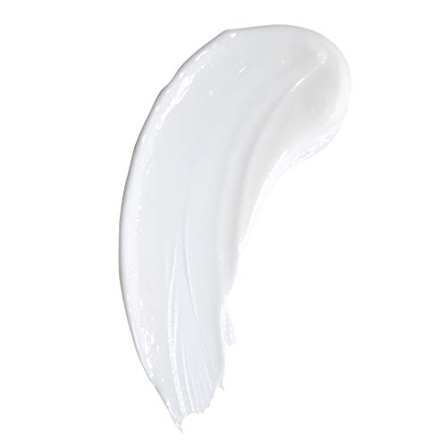 Nursem FRAGRANCE FREE HAND CREAM β 75ml | Fast-absorbing, natural hand cream cruelty free for sensitive skin