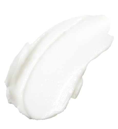 Nip+Fab Ceramide Fix Overnight Cream 12% 50 ml, Luxurious Skin Barrier Replenisher, Elastin Production Support, Giving Your Skin a Firmer, More Y