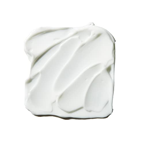 e.l.f. Poreless Face Primer, Skin-Perfecting, Lightweight & Long Lasting, Smooths & Preps to Create A Flawless Base, Infused with Tea Tree, 1 Oz