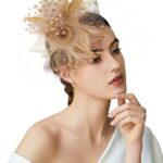 BABEYOND Mesh Feather Fascinator Flower Hair Clip Fascinators Hat Bridal Headpiece Wedding Church Tea Party Derby Hats Race Hats