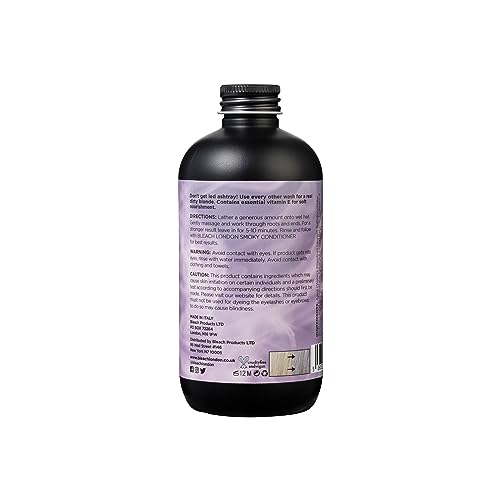 BLEACH LONDON Smoky Shampoo - Smoky Grey Rinse, Vegan, Cruelty Free, Colour Protected Clean, Colour Depositing Formula, 250 ml