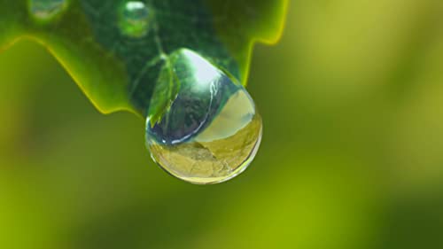 HAWAIIAN TROPIC - Silk Hydration After Sun|with Coconut, Papaya and Aloe vera| 180 ml