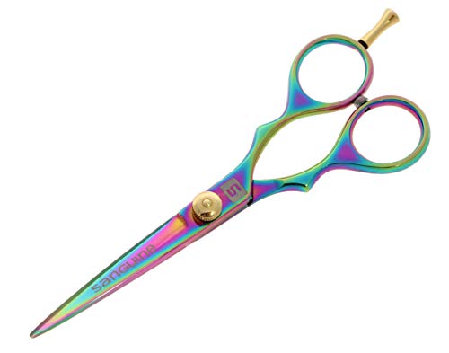 Professional Hair Cutting Scissors, Hairdressing Scissors, Ultra-Sharp Japanese Convex Blades, Titanium Coated - 5.5 inch, Includes Case