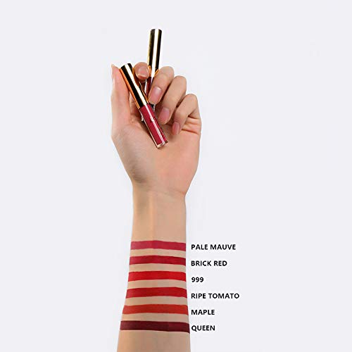 Beauty Glazed NEW Matte Liquid Lipstick Set Light to Deep Red Colors Waterproof Long Lasting Non-Stick Cup Lip Gloss Intense pigments, Cruelty Fr