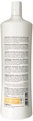 Fanola Restructuring Conditioner, Hydration and Nourishment to Dry, Stressed and Damaged Hair, Enriched Formula with Milk Proteins, 1000