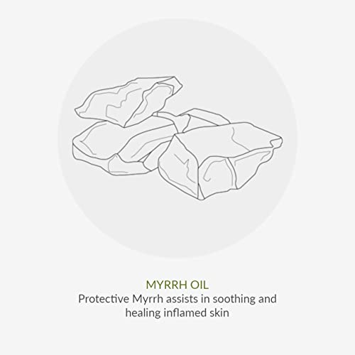 Green People Hydrating After Sun 200ml | Natural, Organic After Sun Lotion | Hydrating Body Cream to Prolong Tan | Featuring Soothing Aloe Vera,