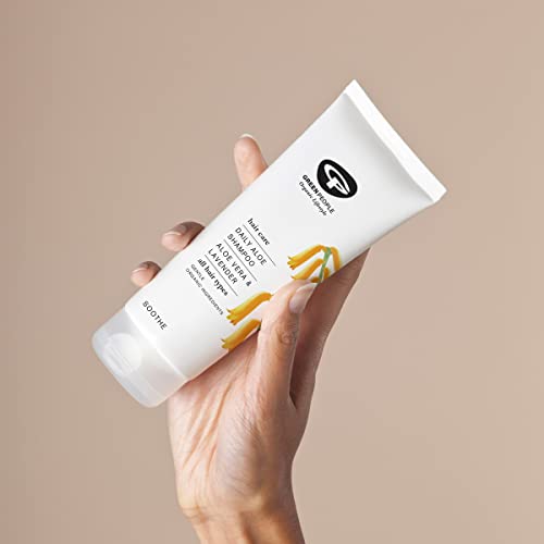 Green People Daily Aloe Shampoo 200ml | Natural & Organic Aloe Vera Shampoo | Gentle Family Shampoo for Regular Use by All Hair Types | Silicone