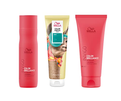 Wella Professionals Color Fresh Mask, Temporary Colour Refresh Treatment, Semi-Permanent Hair Dye, Hair Gloss Treatment for Festival Hair