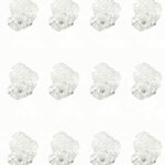 Mini Hair Claw Clips Clamps Small Plastic Hair Clips Pins Grips Womens Girls Hair Accessories (Clear), 12 Count (Pack of 1)