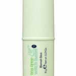Boots Tea Tree & Witch Hazel Blemish Stick 6.5g Fights Spot Causing Bacteria