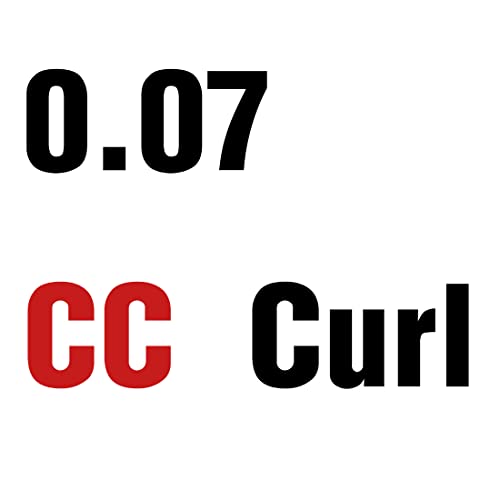 Easy Fan Lashes, D Curl 0.05mm 8-14mm Mixed Easy Fan Russian Lashes 2D 3D 5D Eyelash Extensions Self Fanning Lashes Easy Fan Volume Lashes Indivi