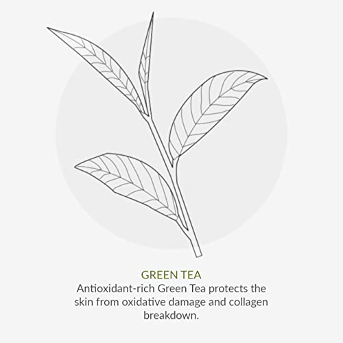 Green People Intensive Repair Shampoo 200ml | Natural & Organic Shampoo | Protective Shampoo for Coloured, Damaged or Dry Hair | Silicone Free &