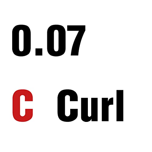 Easy Fan Lashes, D Curl 0.05mm 8-14mm Mixed Easy Fan Russian Lashes 2D 3D 5D Eyelash Extensions Self Fanning Lashes Easy Fan Volume Lashes Indivi