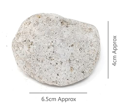 Pumice Stone Foot Care Scruber Dead Hard Skin Callus Remover Pedicure Tool 100% Natural Exfoliating Hard Skin from The Feet (2 Pack)