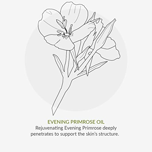 Green People Scent Free Eye Cream 10ml | Natural & Organic Sensitive Eye Cream | Unperfumed Anti-Ageing Moisturiser for Sensitive Skin | Paraben