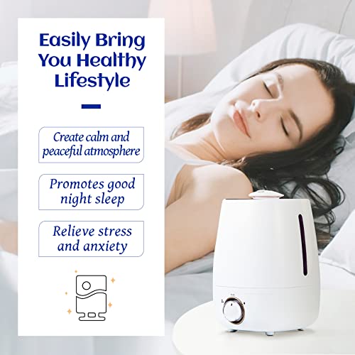 HIQILI Lavender Essential Oils for Sleep 100ml, 100% Pure Undiluted Premium Therapeutic Grade Oil for Aromatherapy Diffuser, Skin Care, Massage,