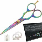 Professional Hair Cutting Scissors, Hairdressing Scissors, Ultra-Sharp Japanese Convex Blades, Titanium Coated - 5.5 inch, Includes Case