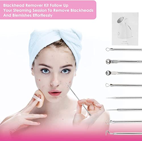 Facial Steamer, 3-in-1 Portable Warm Mist Face Steamer, Newest 10X Penetration Nano Ionic Facial Steamer for Women Moisturizing for Home SPA Clea