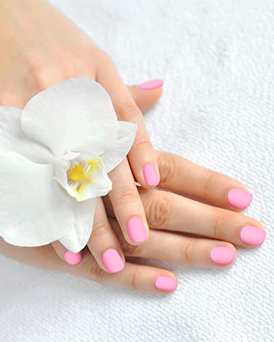 LADYING 24 Color (576 PCS) Matte Square Press on Nails Short,Colorful False Nails Short with Glue and Nail File,Reusable Stick on Nails with Tape