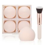 Pinenuts 4 Pack Makeup Sponges, Expanding Marshmallow Foundation Beauty Blenders with Foundation Brushes, Latex-Free Concealer Wet & Dry Makeup S