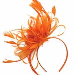 Caprilite Fashion Orange Net Hoop Feather Hair Fascinator Headband Wedding Royal Ascot Races