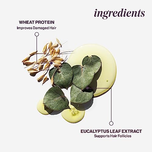 Pureology Hydrate Sheer, Moisturising Shampoo, For Fine, Colour Treated Hair, Vegan Formulas, Sulphate Free for a Gentle Cleanse