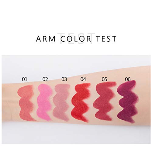 Matte Lipstick Set 6 Colors Nude Moisturizer Smooth Lipstick Long Lasting Waterproof Lipstick Makeup Gift Set