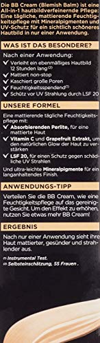 Garnier BB Cream Miracle Skin Perfector / Tinted Day Cream 5 in 1 with Matte Effect Oil / Colour: Medium to Dark / for Oily and Combination Skin