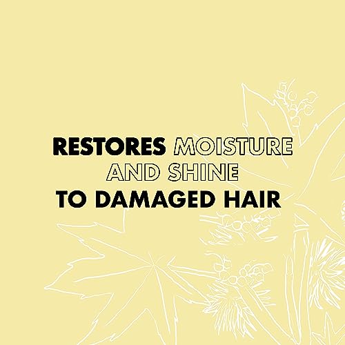 SheaMoisture Jamaican Black Castor Oil Strengthen & Restore Shampoo sulphate free shampoo for natural, chemically processed, or heat styled hair