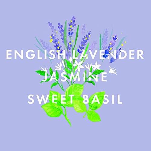 NEOM - Perfect Night's Sleep Essential Oil Blend 10ml | Lavendar, Chamomile & Patchouli | Scent to Sleep