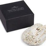 Masaroo Pumice Stone for Feet - Natural Foot Files for Hard Skin - Callus Remover for Feet - Hard Skin Remover Foot - Natural Foot Scraper