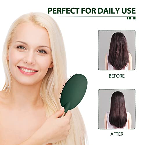 Hair Brush Set Anti Static Massage Oval Comb Round Hair Brush Vent Hair Brush Detangling Brush Paddle Brush for Women Men