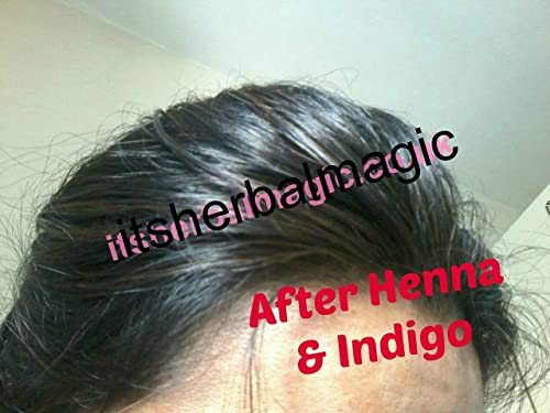 Herbal Magic's Pure & Natural USDA Indigo Powder, Herbal Hair Dye, Natural Hair Mask/Color - Free from Fillers & Preservatives-100g (Pack of 1)