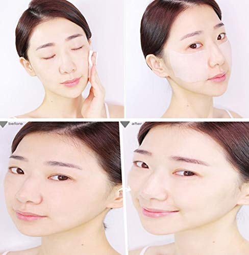 ROUND LAB 1025 DOKDO Toner, Lotion (200ml 6.76 oz) Dead Skin Cell, Blackhead Care (Toner)