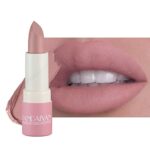 Matte Lipstick Waterproof Long Lasting Moisturizing Lip Stick Sexy Red Pink Velvet Nude Lipsticks Women Cosmetics Lipstick (Pale Pinkish Gray)