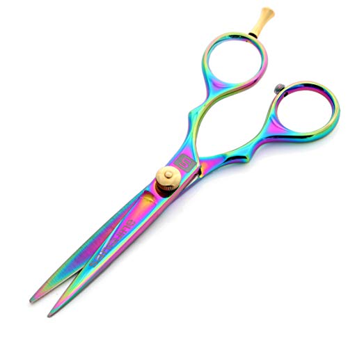 Professional Hair Cutting Scissors, Hairdressing Scissors, Ultra-Sharp Japanese Convex Blades, Titanium Coated - 5.5 inch, Includes Case
