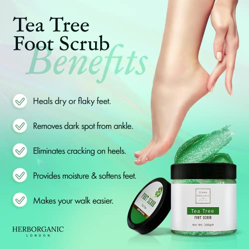 HerbOrganic Antibacterial Tea Tree Foot Scrub – 200 g – Exfoliates, Moisturizes and Cleanses – Helps with Corns, Calluses, Athlete Foot, Jock Itc
