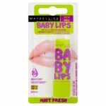 Maybelline Baby Lips Winter Delight Lip Balm - Mint Fresh