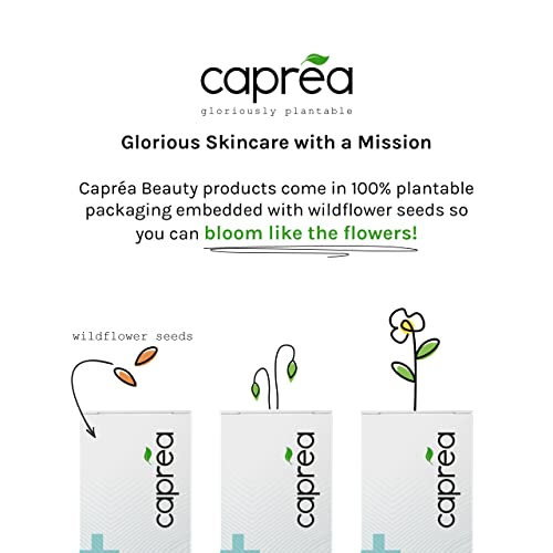 SPF Face Cream for Sun Protection - Vegan Face Sun Cream & Hydrating Moisturiser with SPF 15, Aloe Vera, Blackcurrant Extract & Monoi Oil - Capré