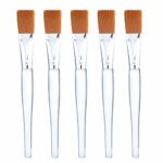 Facial Mask Brush Makeup Brushes Cosmetic Tools with Clear Plastic Handle, 5 Pack (Silver)