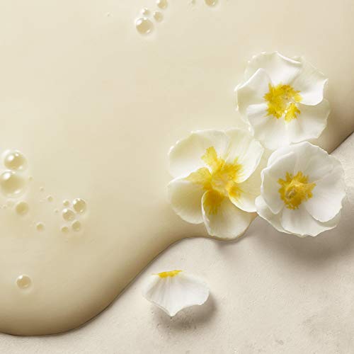 philosophy purity facial cleanser | daily face wash | gentle face cleanser