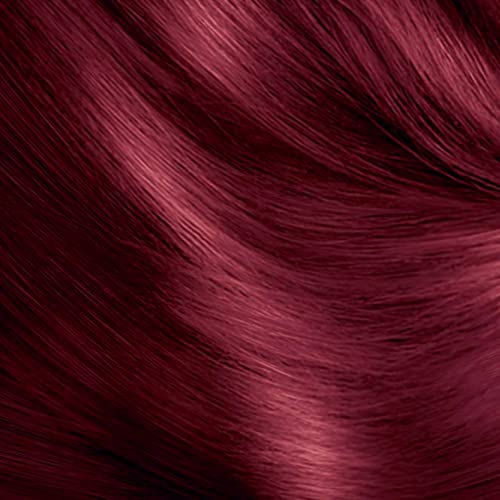 Schwarzkopf Oleo Intense Red Hair Dye, 3-Pack Permanent Oil Colour, No Ammonia, Covers Greys, Burgundy Red 4-23