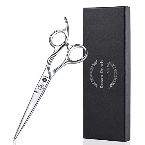 Dream Reach 6" Professional Hair Cutting Scissors Japan 440C Steel Thinning Scissor for Men/Women Cutting for Salon/Barber/Home (Straight Scissor
