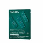 Aveda Botanical Repair Travel Kit for Ruined Hair