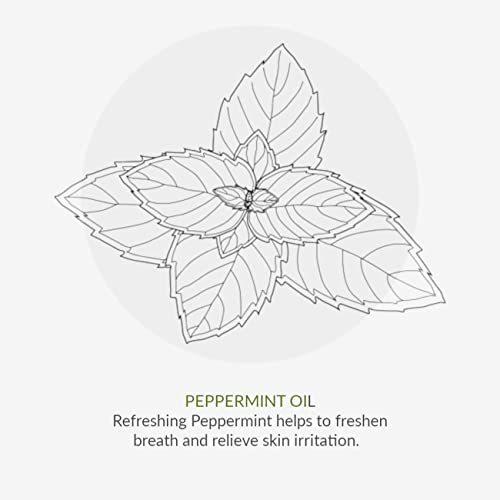 Green People Hydrating After Sun 200ml | Natural, Organic After Sun Lotion | Hydrating Body Cream to Prolong Tan | Featuring Soothing Aloe Vera,