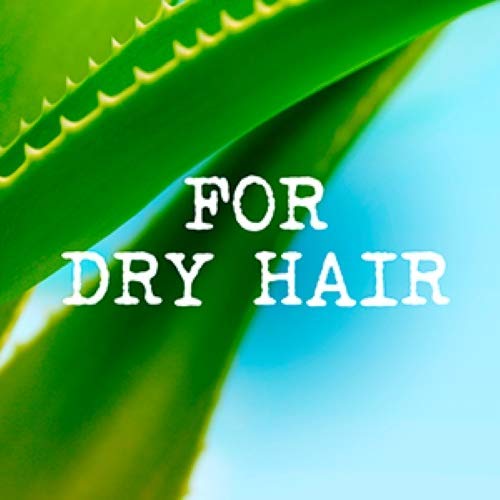 Maui Moisture Vegan Shampoo for Dry Hair, Coconut & Aloe Vera, 385 ml